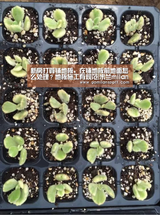 新房打算铺地板,在铺地板前地面怎么处理?地板施工有规范|米兰milan官网(图2) 米兰·(milan)