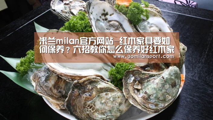 米兰·官方网站