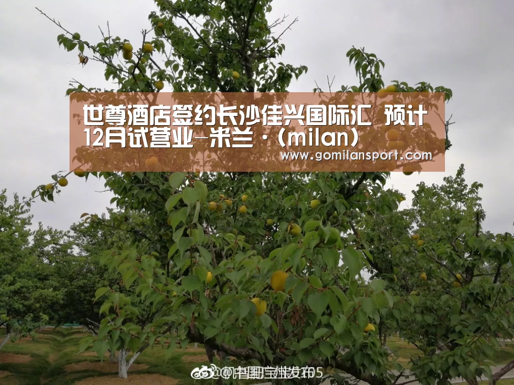 世尊酒店签约长沙佳兴国际汇 预计12月试营业-米兰·(milan)(图1) 米兰·官方网站