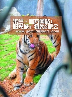 米兰·官方网站:阳光城:将为2家公司17亿元融资提供担保(图3) 米兰milan官方网站
