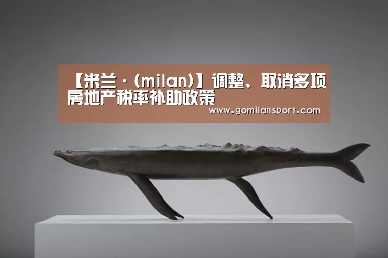 【米兰·(milan)】调整、取消多项房地产税率补助政策(图2) 米兰·官方网站