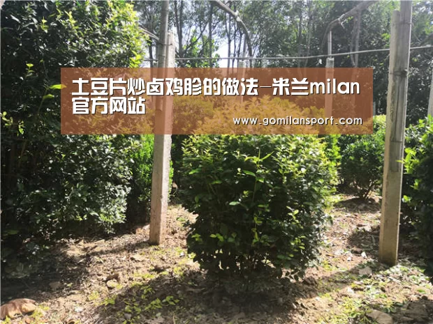 米兰milan官网