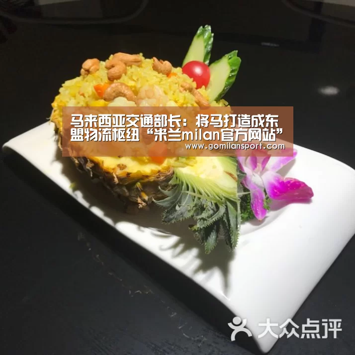 马来西亚交通部长:将马打造成东盟物流枢纽“米兰milan官方网站”(图1) 米兰·(milan)